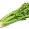 Blue Celery