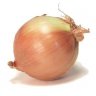 Onion-FortyOne